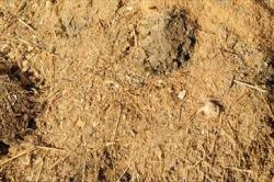 Sahanpurua ja muuta orgaanista eristettä