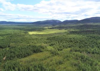 Ilmakuva suo- ja metsäluonnosta, jonka taustalla kohoaa tuntureita.