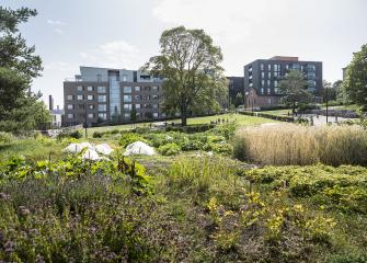 Kerrostaloja, joiden edustalla on vehreää puistoaluetta.