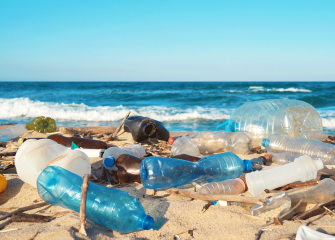 Muoviroskia rannalla