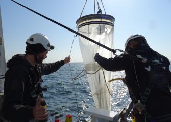 Två forskare sänker ner en stor håv i vattnet.