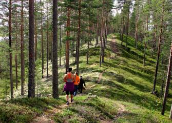 Kuvassa harjun laella kulkeva polku, jos kolme ihmistä kävelee.