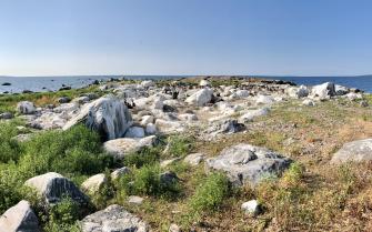 Puuton merimetsoluoto