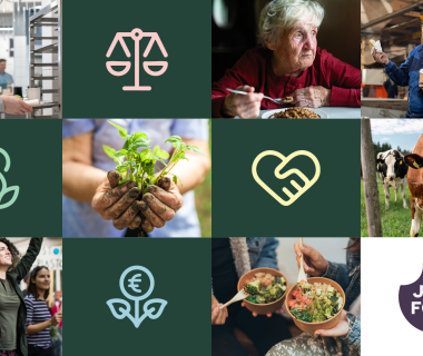 Kuvien ja symbolien mosaiikki, joka kokoaan reseptikorttien teemat yhteen.