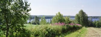 Peltoa ja järveä