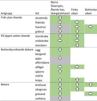 Av de arter som livnär sig på vattenytan har skrattmåsens bestånd ökat i storlek, fiskmåsens och havstrutens förblivit oförändrade och gråtrutens ökat i Finska viken, men försvagats på andra håll. Bland de arter som livnär sig på öppna havet har bestånden av storkrake och storskarv ökat i storlek medan småskraksbeståndet hållits oförändrat. Bland heldykarna har bestånden av vigg, sjöorre, svärta och knipa ökat i storlek. Bestånden av ejder och alförrädare har försvagats. Bestånden av betare har mest ökat.
