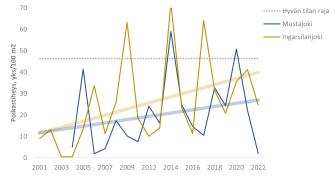 Kaksi nousevaa viivaa, jotka kuvaavat meritaimenen poikastiheyden kasvaneen kahdella eri joella.  Sisältö selitetty kuvatekstissä.