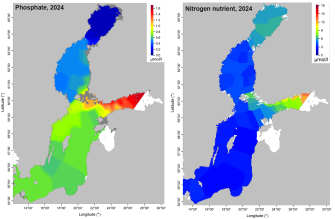 The maps depict the amount of phosphate and nitrogen nutrient concetration in the Baltic Sea.