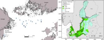 Kartan visar utbredningen av viktiga områden för tumlaren i Östersjön enligt HELCOMs HOLAS3-bedömning. I Norra Östersjön finns ett måttligt viktigt område där tumlare förekommer i Finlands havsområde.