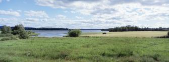 Peltoa ja järvi