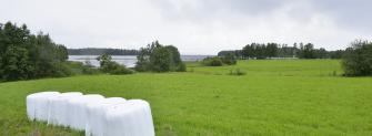 Peltoa ja järvi