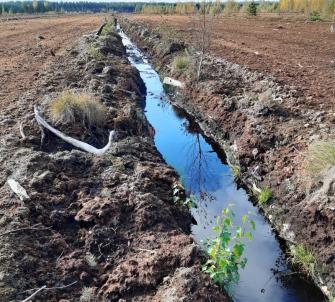 Turvetuotantopelto, jonka on keskellä oja. Ojassa on vettä. Taustalla on syksyinen lehtipuumetsä.