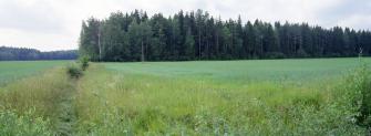 Peltoa ja metsää