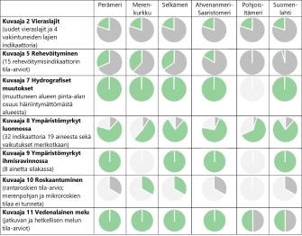 Kaikilla merialueilla sekä rehevöitymisen että vieraslajien indikaattoreista suurin osa näytti heikkoa tilaa. Hydrografisia muutoksia, ympäristömyrkkyjä ihmisravinnoissa ja vedenalaista melua kuvaavat indikaattorit taas näyttivät lähes kaikki hyvää tilaa kaikilla merialueilla, mutta Pohjois-Itämerellä ja Suomenlahdella tila oli huonompi melun osalta. Roskaantumisen indikaattoreista vain kolmasosan tila tunnettiin ja ne osoittivat hyvä tilaa Merenkurkussa ja Selkämerellä.