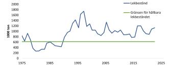 Varierande stigande och fallande linje, som visar ökningen av biomassan i vassbukens lekbestånd åren 1975-1995 och den måttliga minskningen 1995-2023.