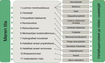  Laadullisia kuvaajia ovat luonnon monimuotoisuus, vieraslajit, kaupalliset kalakannat, ravintoverkot, rehevöityminen, merenpohjan koskemattomuus, hydrografiset muutokset, haitalliset aineet ympäristössä, haitalliset aineet ravinnossa, roskaantuminen ja vedenalainen melu. Niiden osatekijöitä ovat merinisäkkäät, merilinnut, kalat, ulappaelinympäristöt, vieraslajit, kiintiöidyt kalakannat, trofiakillat, rehevöitymisindikaattorit, pohjan elinympäristöt, muutokset virtauksissa, myrkyt, roskat ja melu.