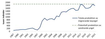 Stigande linje som visar en nästan niofaldig ökning av produktionen av vandrande laxyngel 1987-2023.