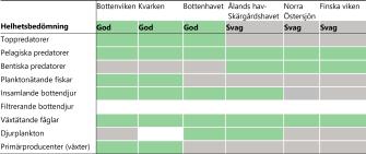 Bottenpredatorer i Bottenviken och Kvarken har dålig status, djurplankton även i Bottenviken. Andra trofiska gilder har god status i dessa områden. Förutom bentiska predatorer har även planktonätande fiskar och primärproducenter dåligt status i Bottenhavet. I Ålands hav-Skärgårdshavet, Norra Östersjön och Finska viken har toppredatorer, planktonätande fiskar och primärproducenter dålig status. I Norra Östersjön och Finska viken även insamlande bottendjur och djurplankton. 