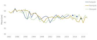 kolme viivaa joissa laskeva trendi. Viivat kuvaavat vaellussiikanaaraiden keskipituuden pienenemistä vuosina 1982-2020.