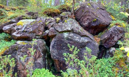 Matala lohkoutunut kallioseinämä. 