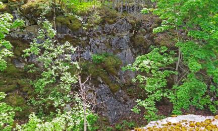 Näkymä vanhan louhoksen yli. Sammaleinen vastapuolen seinämä ja louhoksen pohjalla kasvavia lehtipuita.