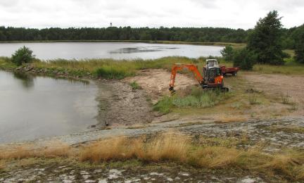 Kaivinkone poistaa kasvillisuutta umpeenkasvaneella hiekkarannalla.