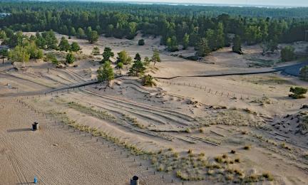 En vy över ett vidöppet dynområde med staketliknande strukturer som främjar restaurering av dynformer.