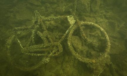 Levän peitossa oleva polkupyörä meren pohjassa.