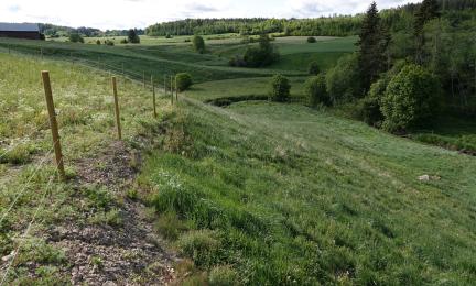 Betesstängsel i Vähäjoki ådal i Askola