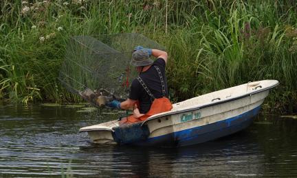 Henkilö nostaa katiskaa veneeseen.