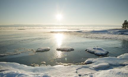 Jäinen merenranta.