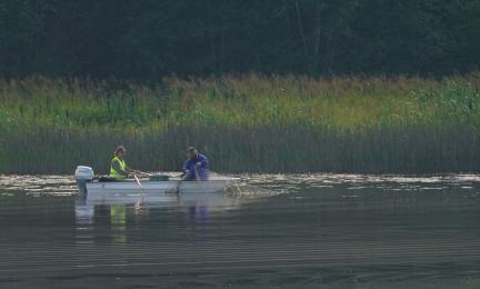 Verkkojen kokemista veneestä tyynellä järvellä. Taustalla järviruovikkoa ja metsää.