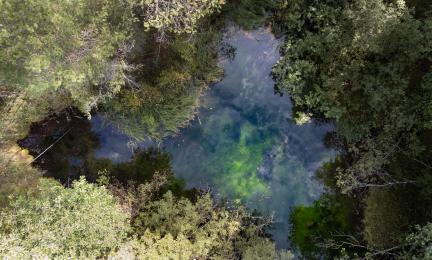 Rautalammilla sijaitseva lähde joka kärsinyt viimeisten vuosikymmenten aikana ojituksista, kaivamisesta ja vedenotosta, mutta se on nykyisin suojeltu pysyvästi.”