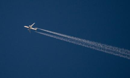 Lentokone voi kuljettaa CITES-lajeja.