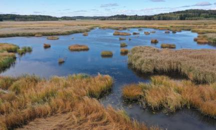 Vårdområde för fågelvatten.