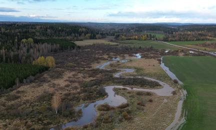 Kuva Luhdanjoen tulvivasta jokilaaksosta.