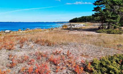 Hiekkarantaa Örön saaressa Saaristomeren kansallispuistossa.