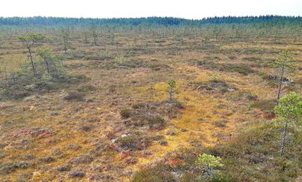 Peurainneva Merikarvia