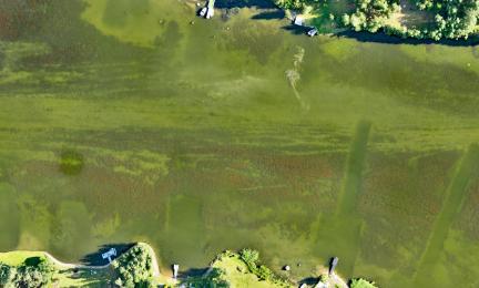 Ilmakuva, jossa salmessa veden alta häämöttää sekä punertavia leväkasvustoja, paljaita pohjia että ojamaisia ruoppauksia. 