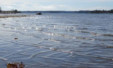 Matalaa vettä ja aaltoja.