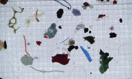 Eri värisiä muovin palasia.