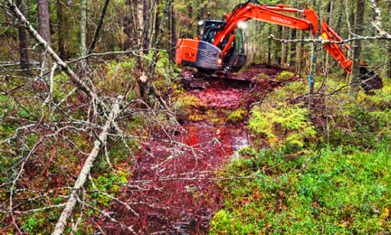 Ojitetun suon kunnostusta Äänekoskella 2025