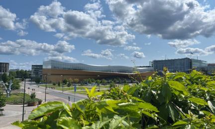 Maisema, jonka etualalla vihreää kasvillisuutta ja kauempana taustalla rakennuksia, kuten Helsingin Oodi-kirjasto ympäristöineen.
