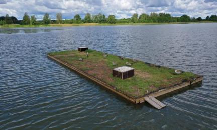 Fågelhäckningsflotte byggd i samarbete. 