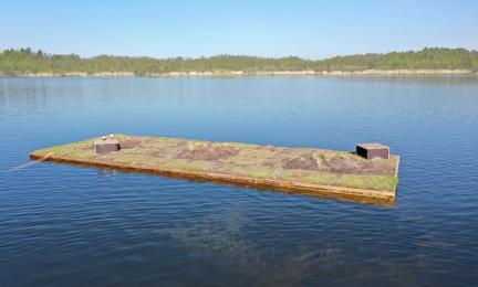 Laiturielementistä tehty kelluva pesimälautta. 