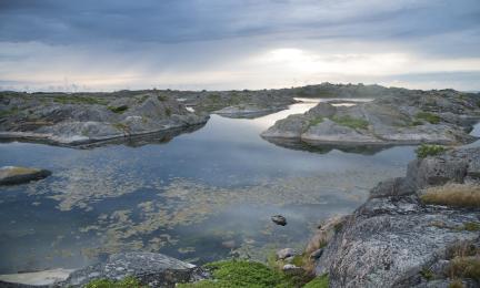 Kallioiden keskellä olevaa vettä, jossa on kellertävää levää.