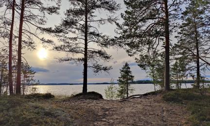 Rokansaaren retkeilyalue Lietvedellä Puumalassa, Etelä-Savossa