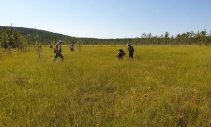 Avara maisema, jossa useita retkeilyvaatteisia ihmisiä kulkemassa ja tutkimassa sammalia.
