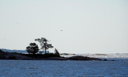 Ett blått hav och en holme med träd.