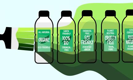 Piirroskuva erilaisista harhaanjohtavista ympäristöväitteistä